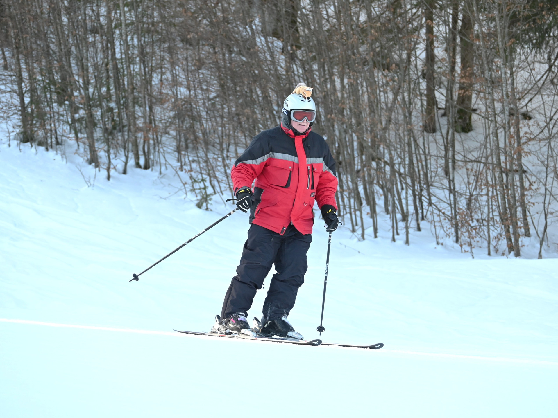 Schitag_2026 (2).jpg