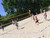 Beachvolleyball 2026_ (11).jpg