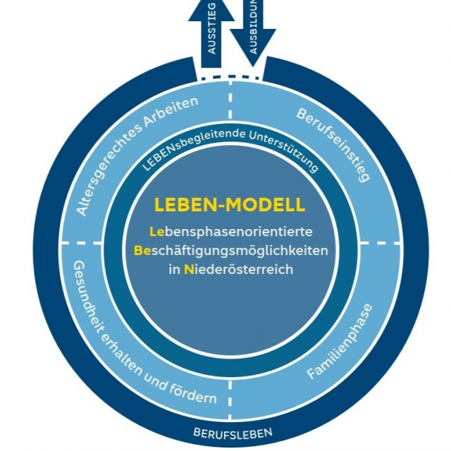 Grafik Modell Leben neu